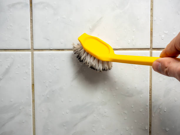 Best Mold Testing  in Desoto Lakes, FL