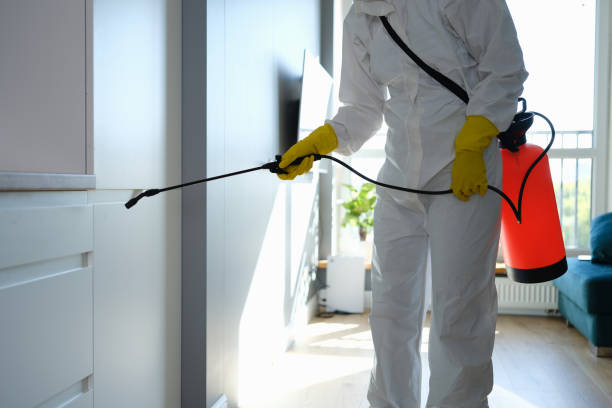 Best Residential Mold Removal  in Desoto Lakes, FL